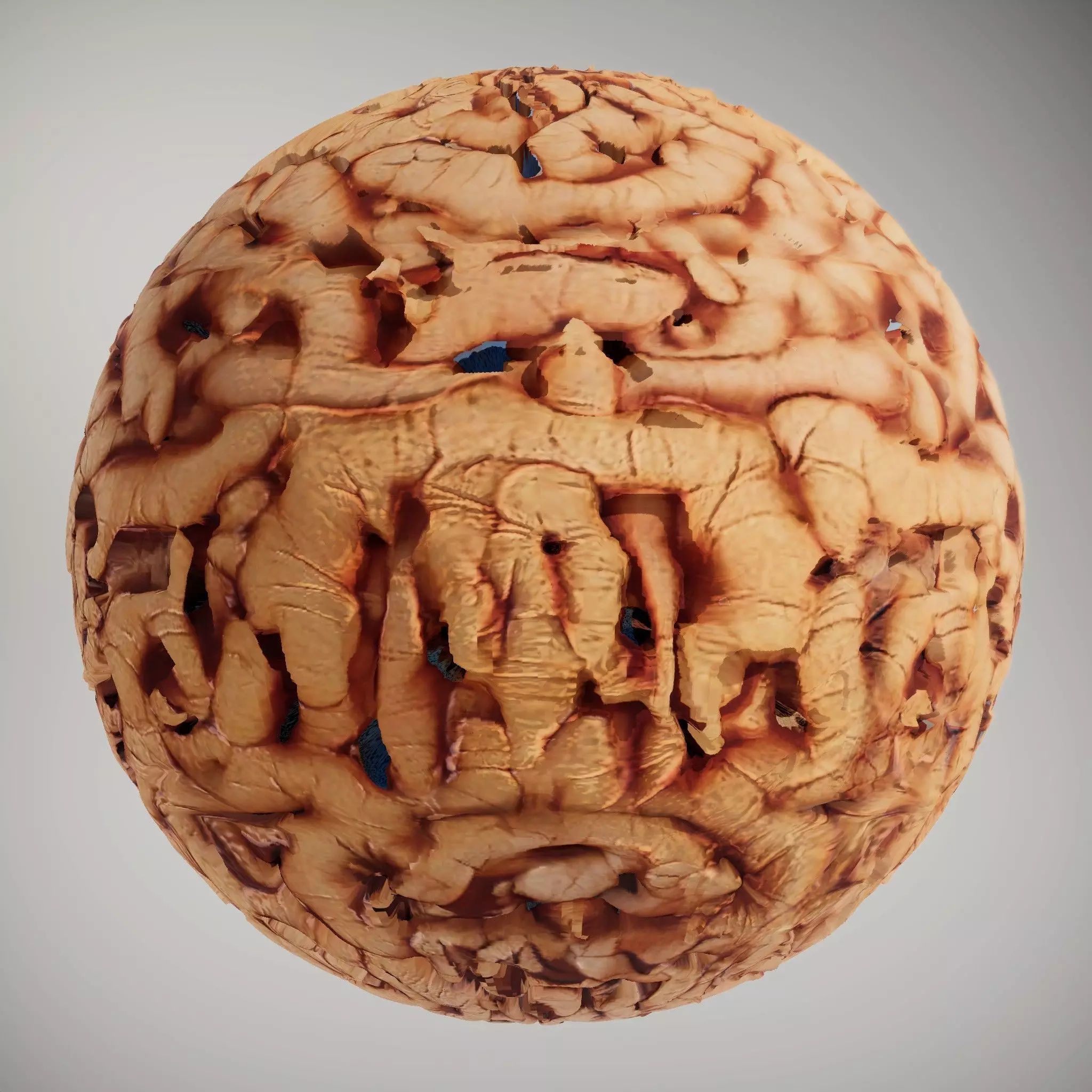 HQ PBR Textures Set Organic Roots Knotty Texture_2