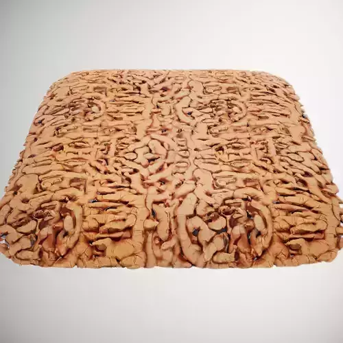 HQ PBR Textures Set Organic Roots Knotty