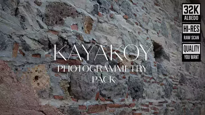 Abandoned Village Surface Scan - Stone Wall 18