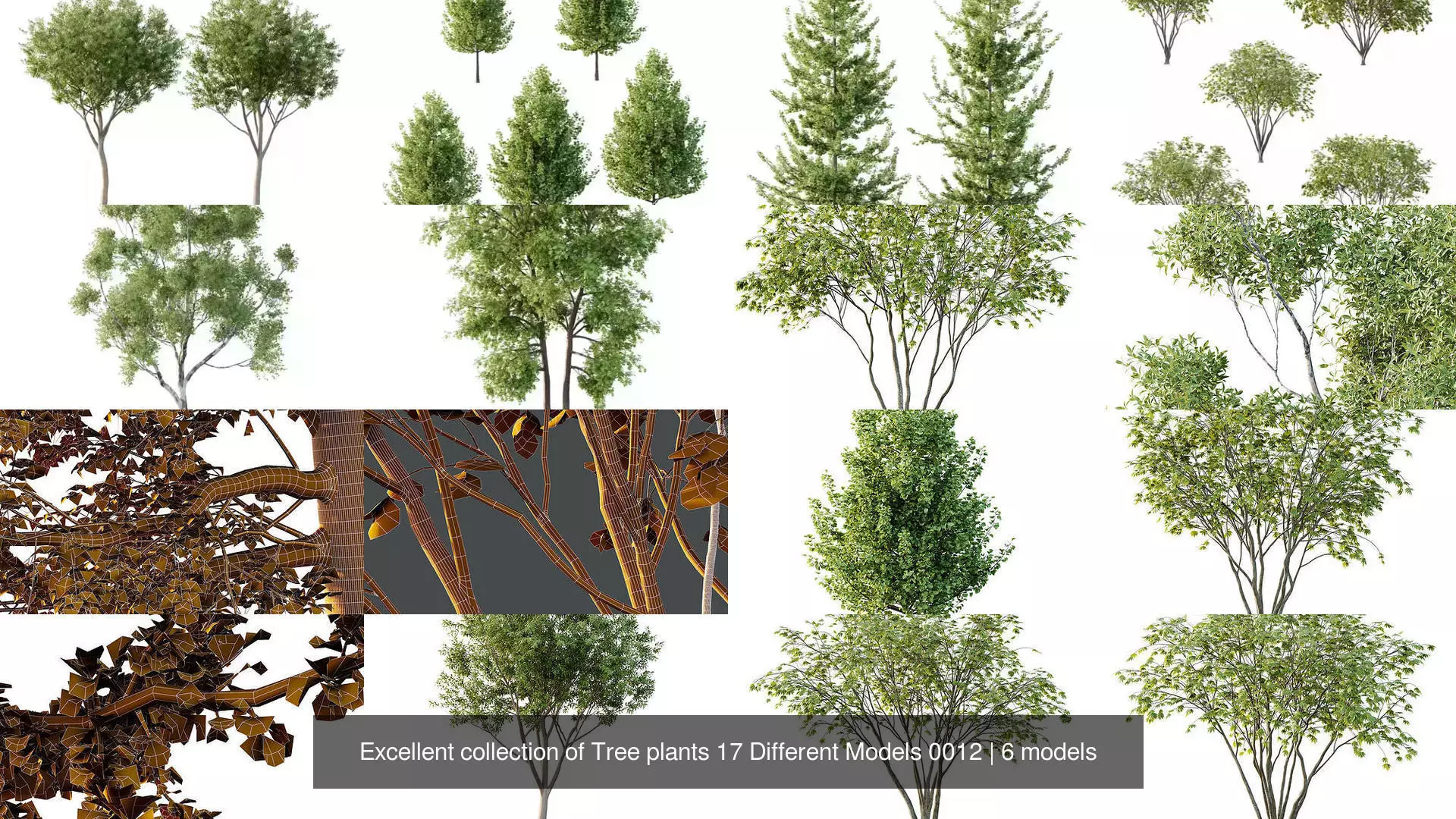 Excellent collection of Tree plants 17 Different Models 0012 _1