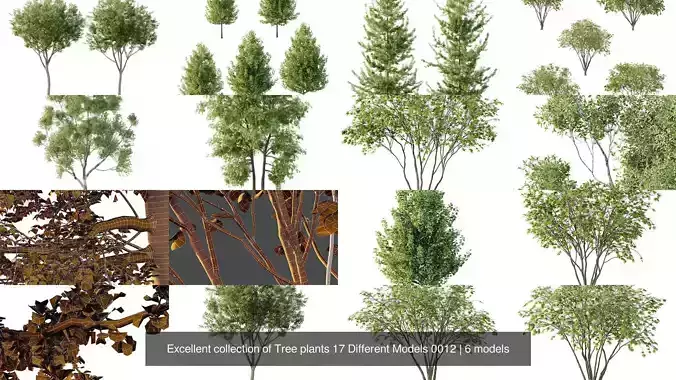 Excellent collection of Tree plants 17 Different Models 0012