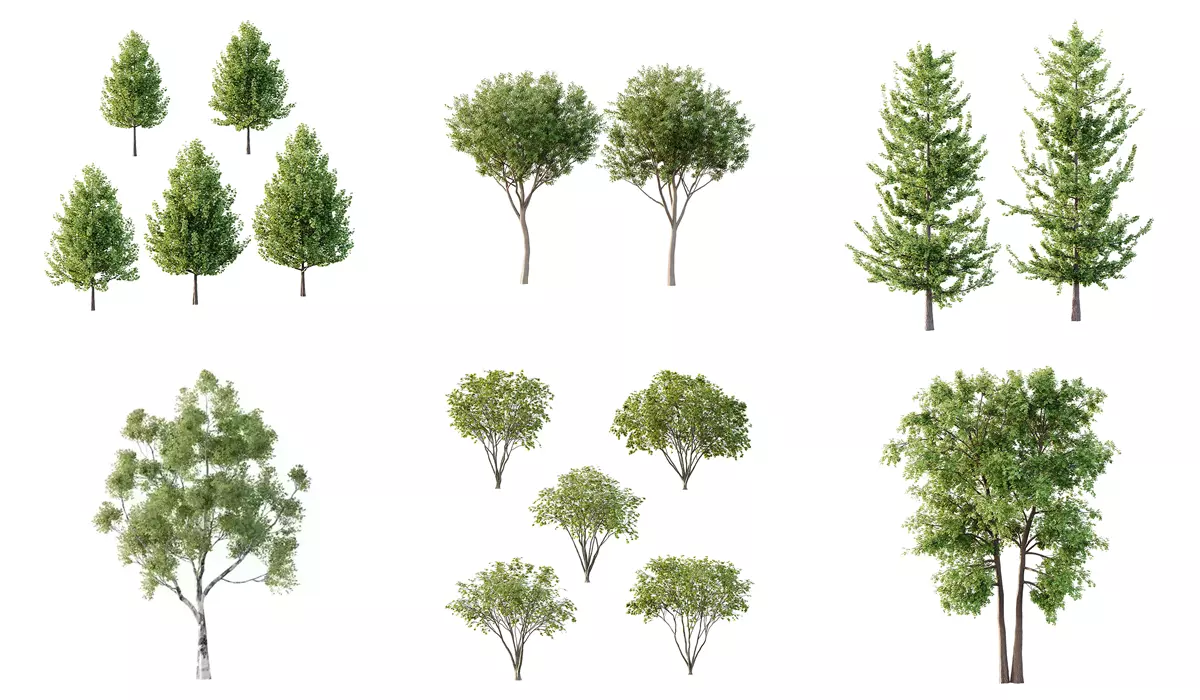 Excellent collection of Tree plants 17 Different Models 0012 _0