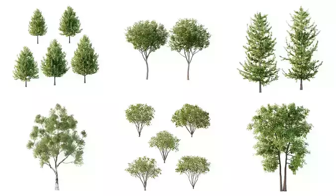 Excellent collection of Tree plants 17 Different Models 0012  Excellent collection of Tree plants 17 Different Models 0012