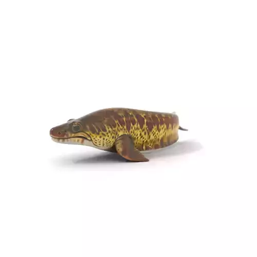 Spotted Aquatic Creature model pack Low-poly 3D model