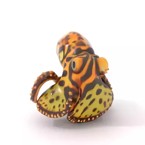 Vibrant Octopus Textured model pack