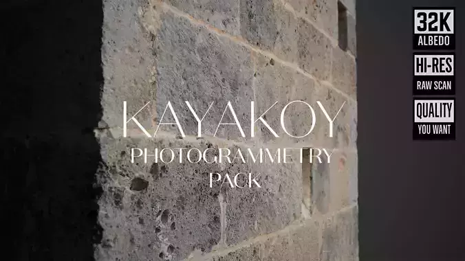 Abandoned Village Surface Scan - Stone Wall 19