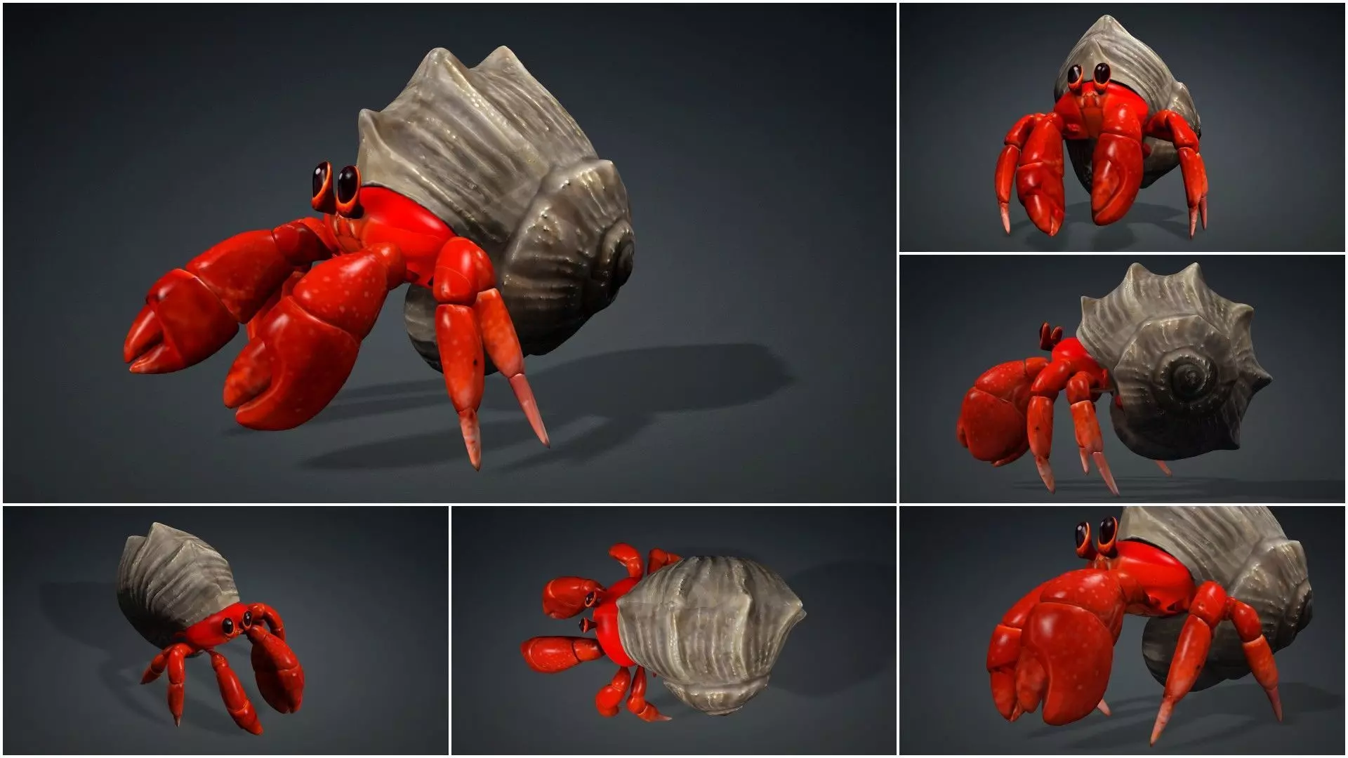 Pack-06 UnderWater 3D model_34