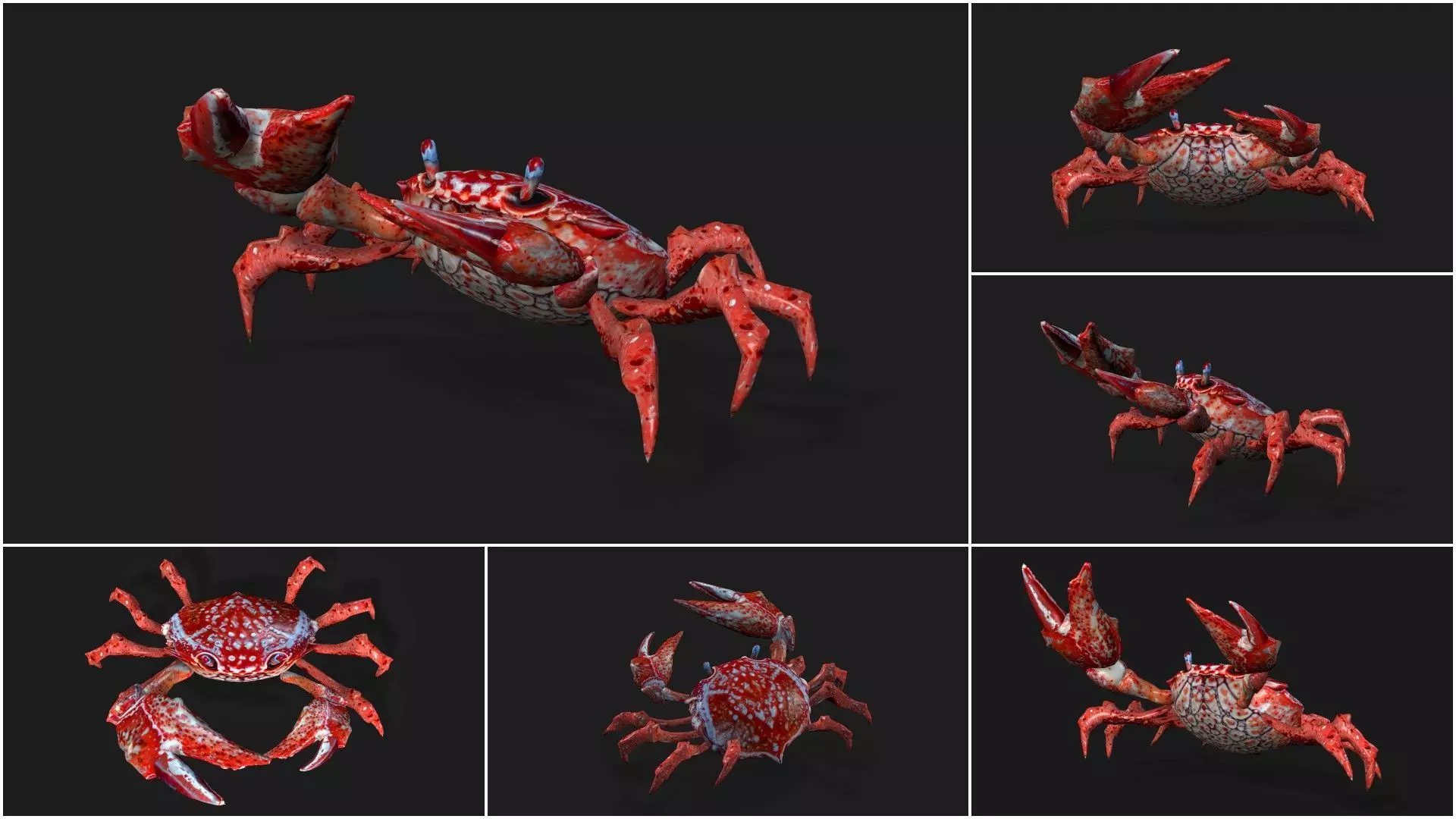 Pack-06 UnderWater 3D model_38