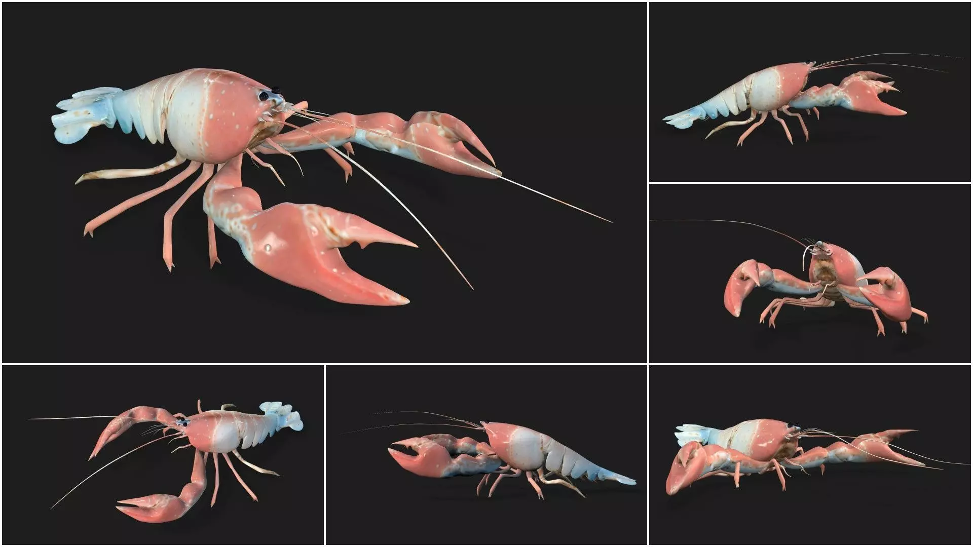 Pack-06 UnderWater 3D model_56