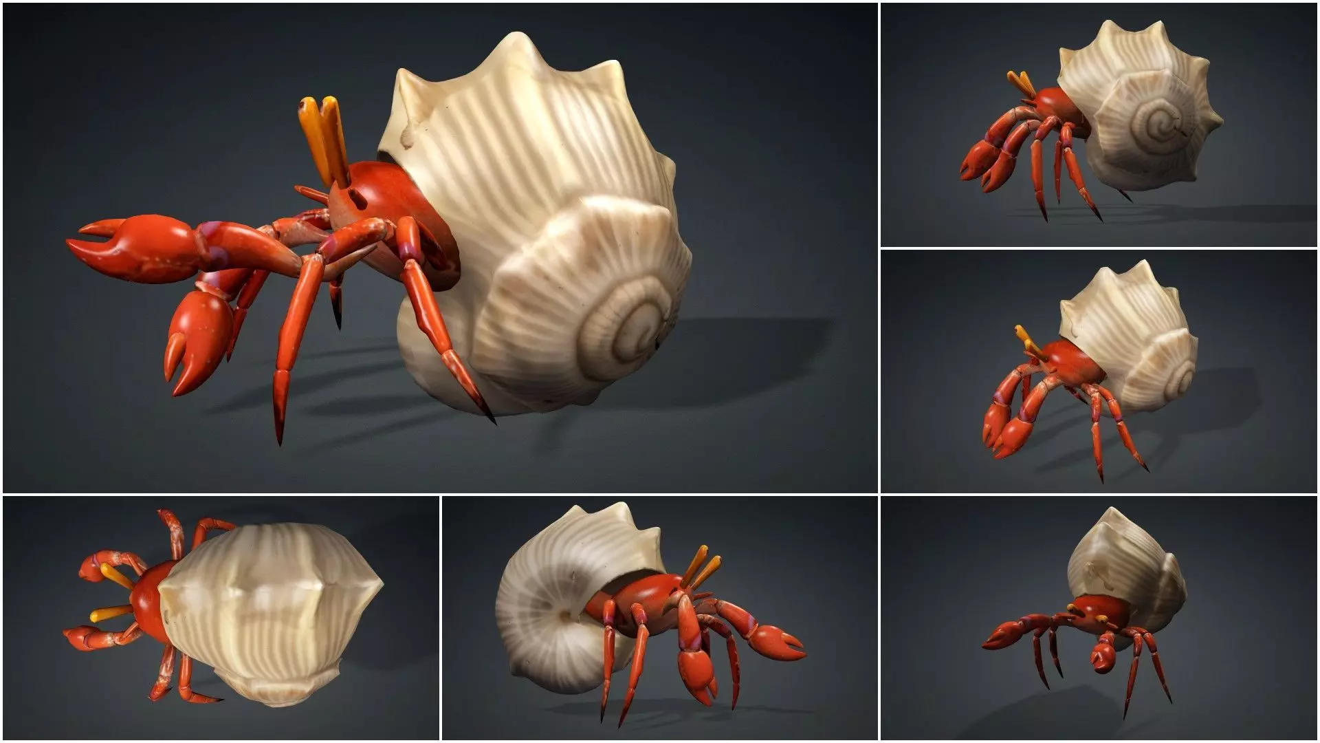 Pack-06 UnderWater 3D model_12