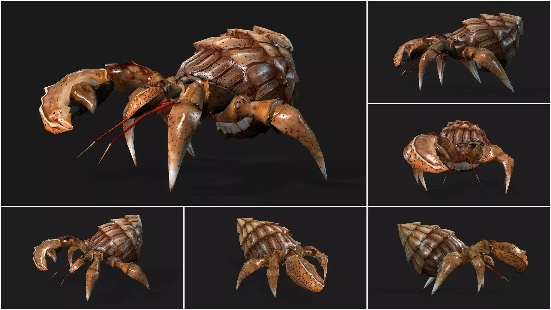 Pack-06 UnderWater 3D model_32