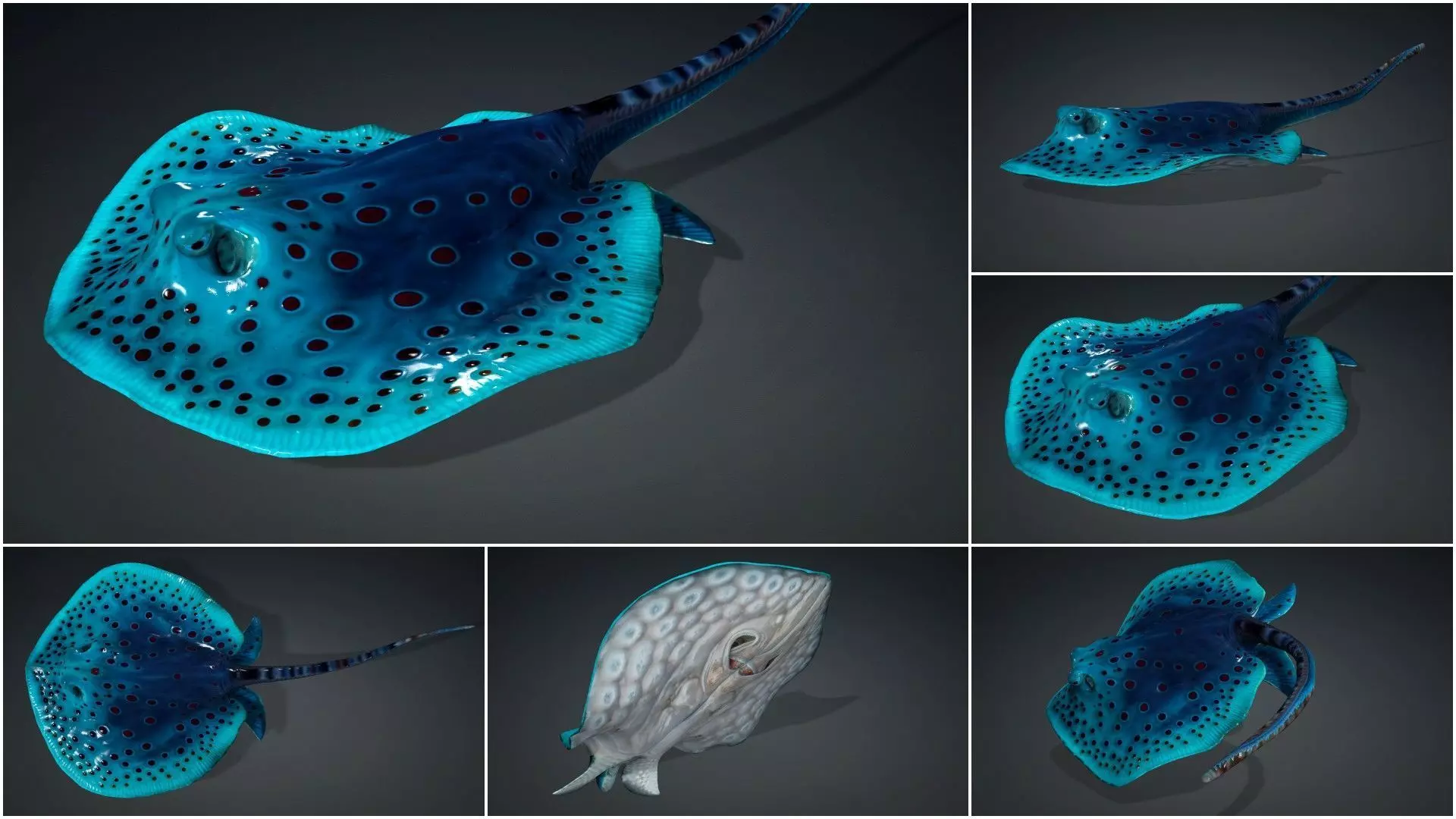 Pack-06 UnderWater 3D model_46