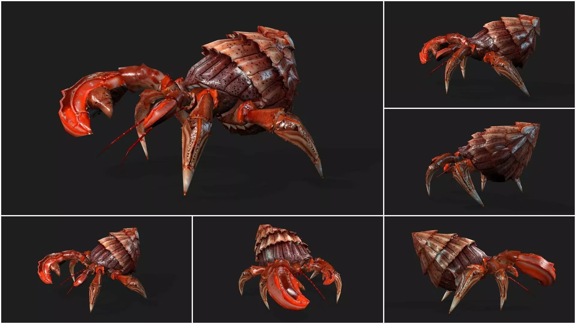 Pack-06 UnderWater 3D model_30