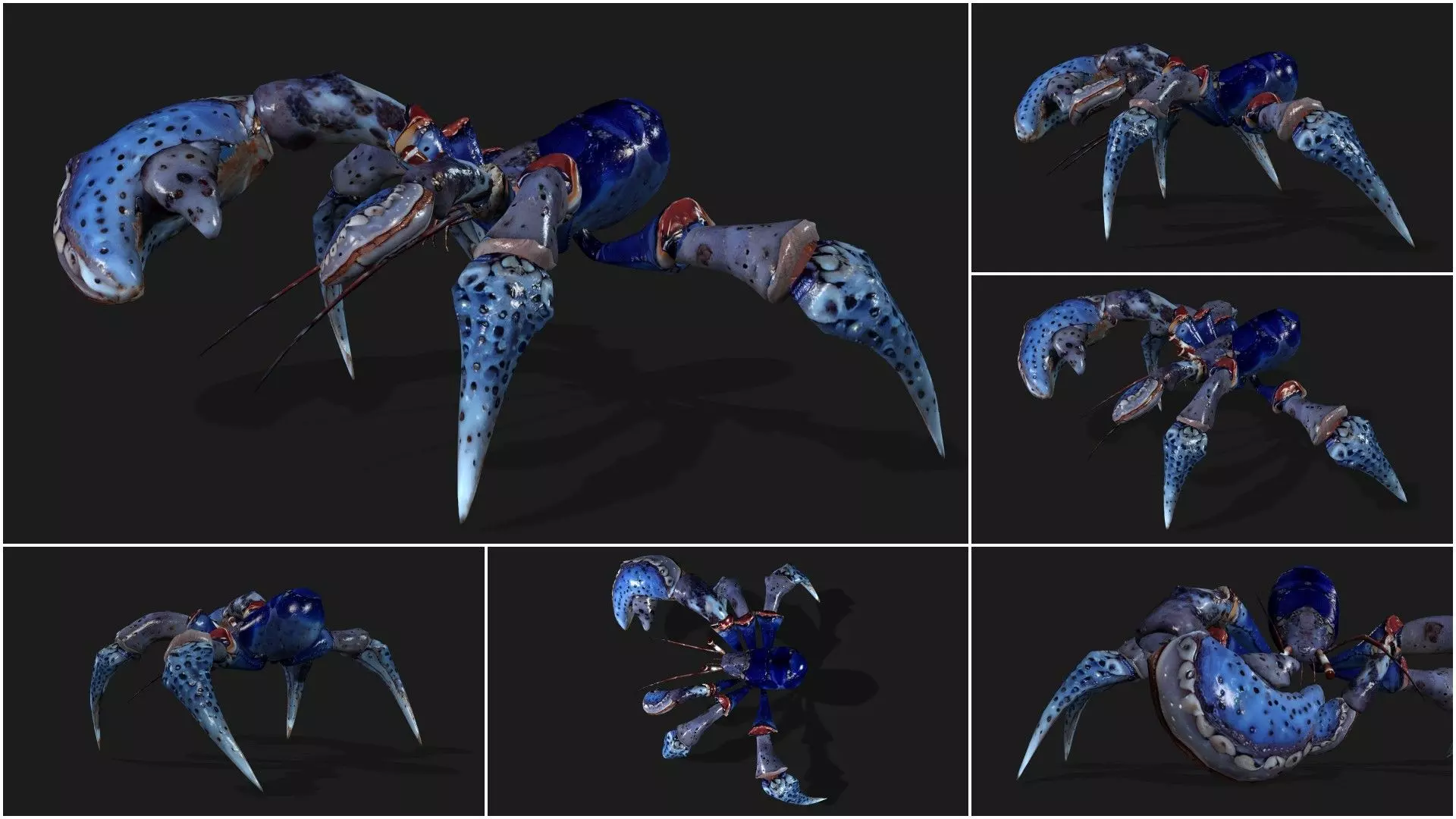 Pack-06 UnderWater 3D model_22