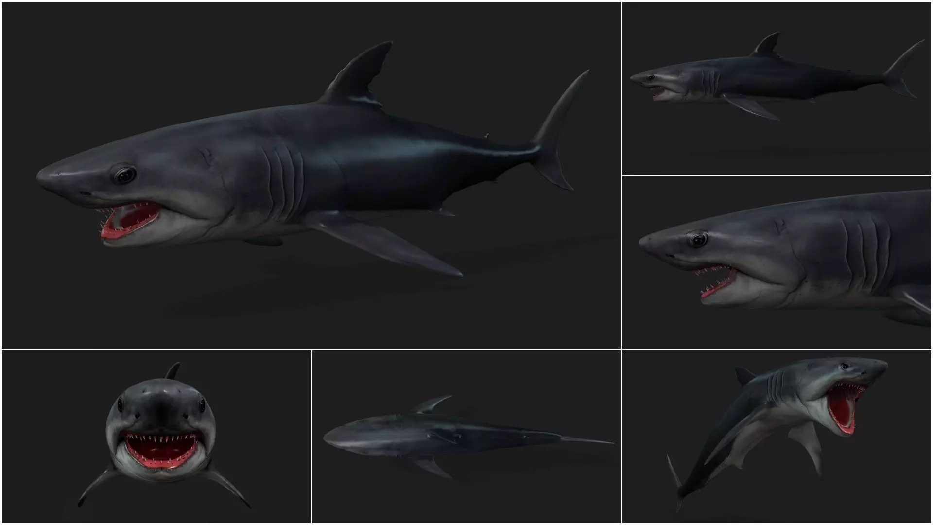 Pack-06 UnderWater 3D model_26