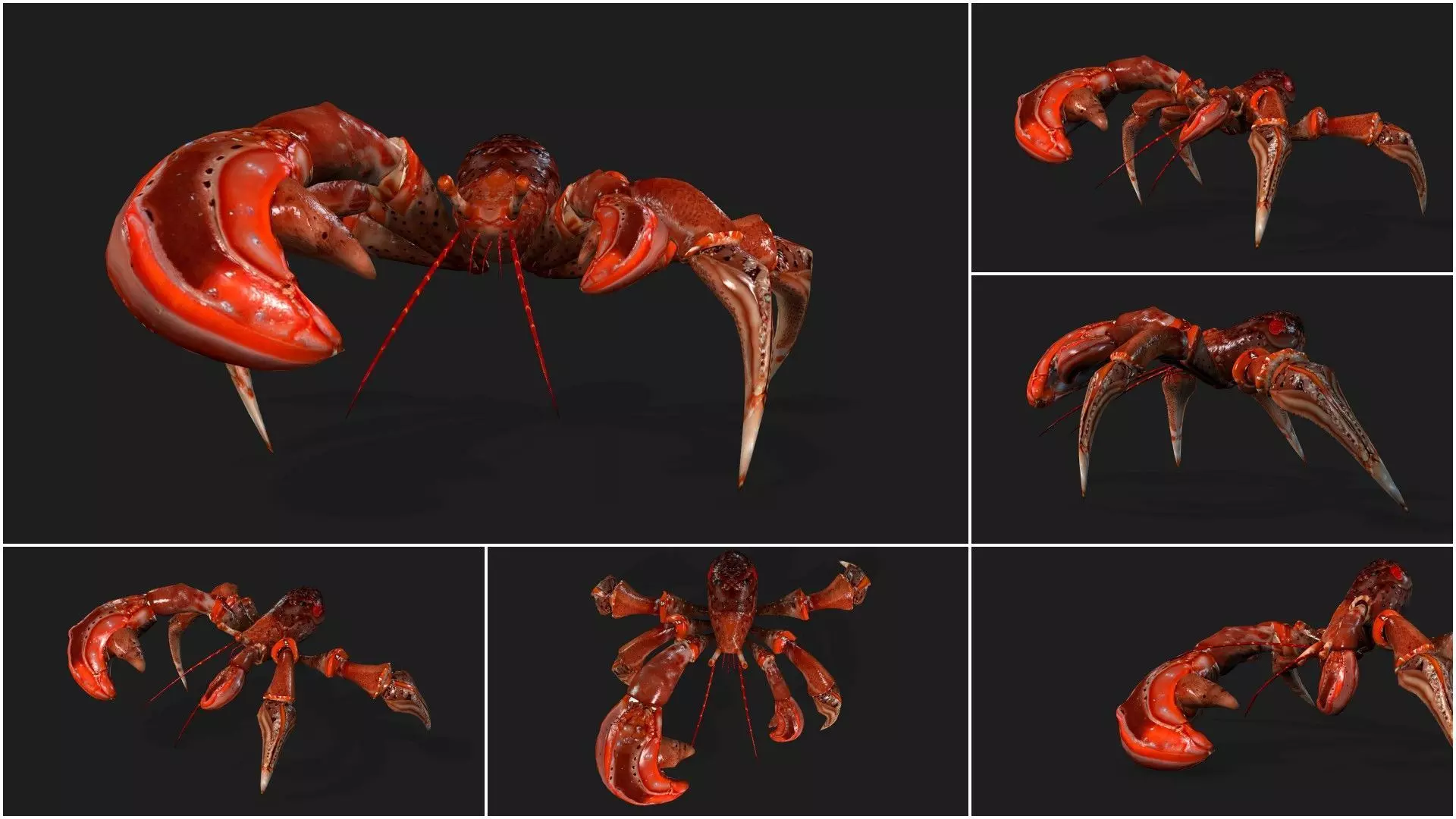 Pack-06 UnderWater 3D model_18