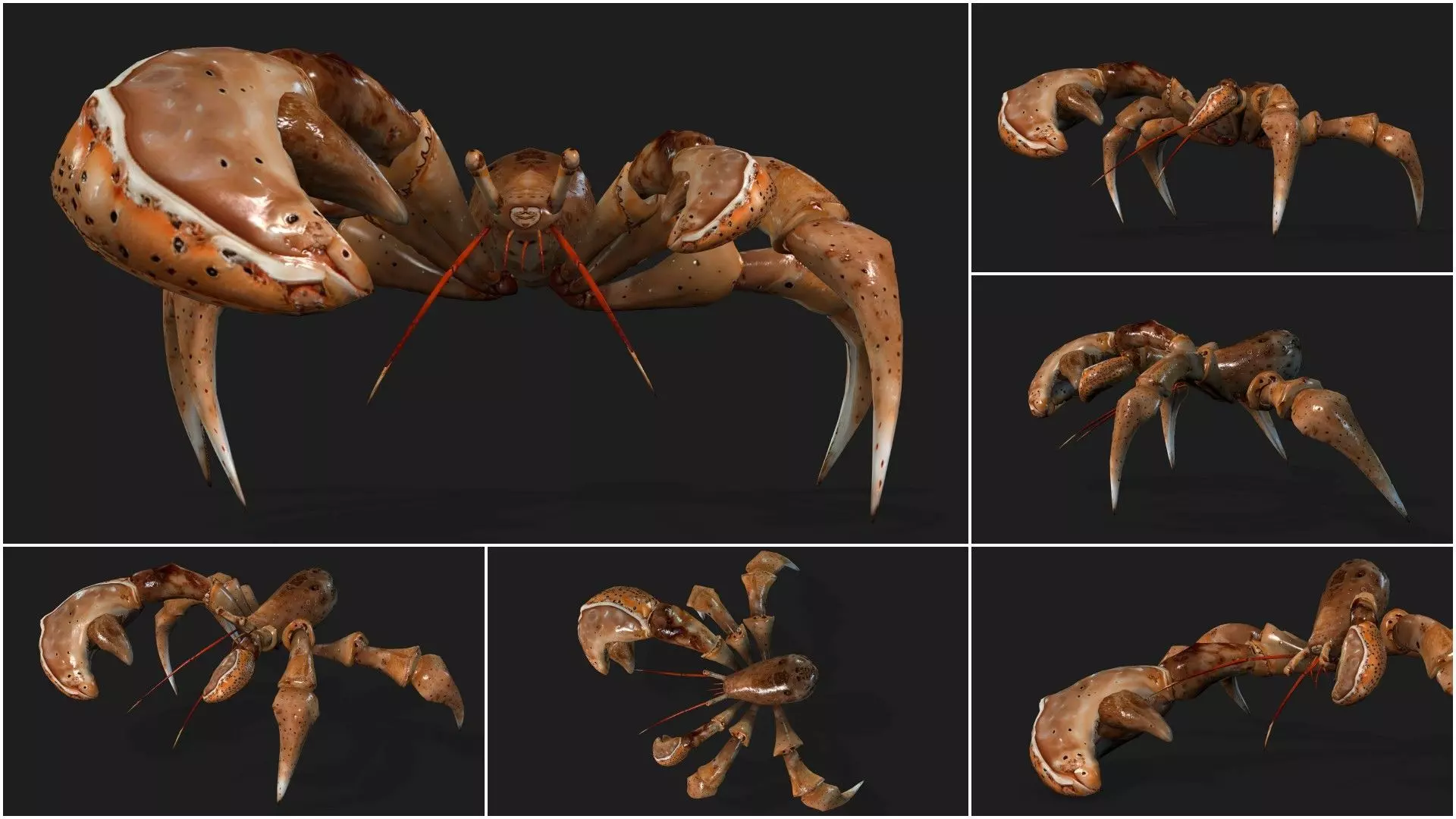 Pack-06 UnderWater 3D model_20