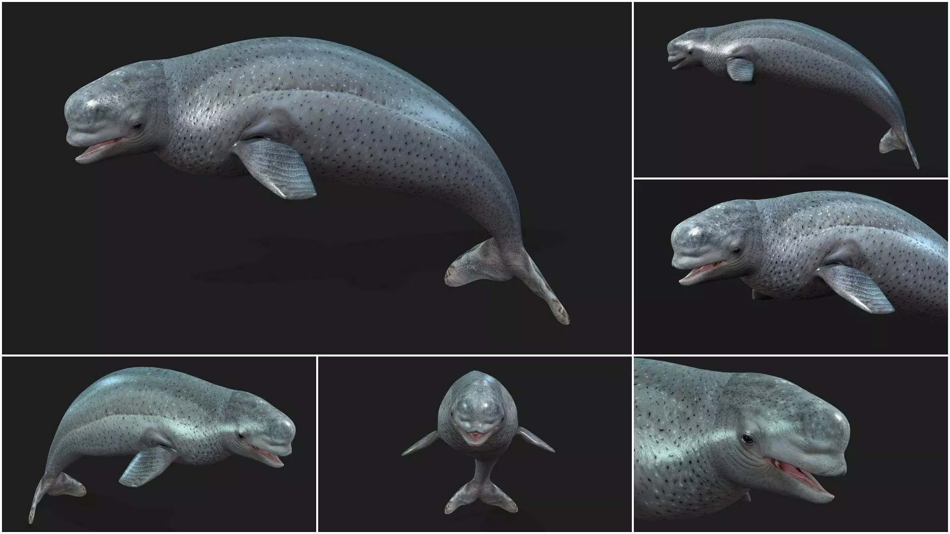 Pack-06 UnderWater 3D model_24