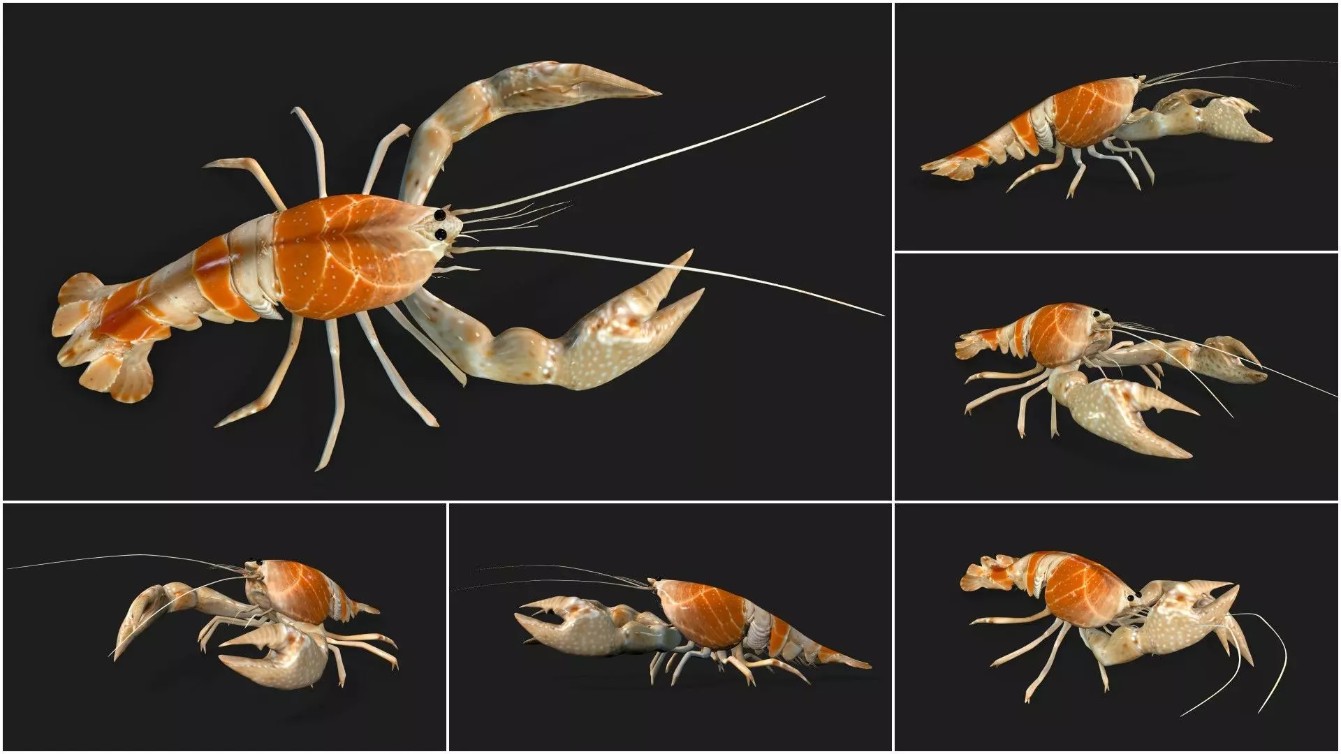 Pack-06 UnderWater 3D model_54