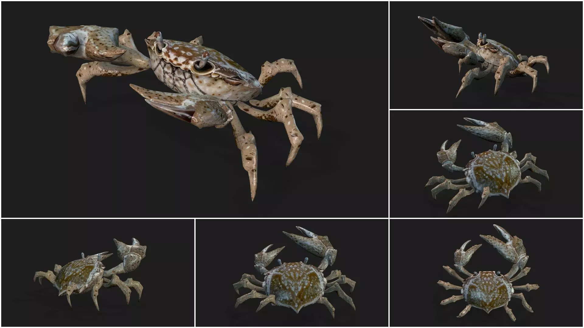 Pack-06 UnderWater 3D model_40