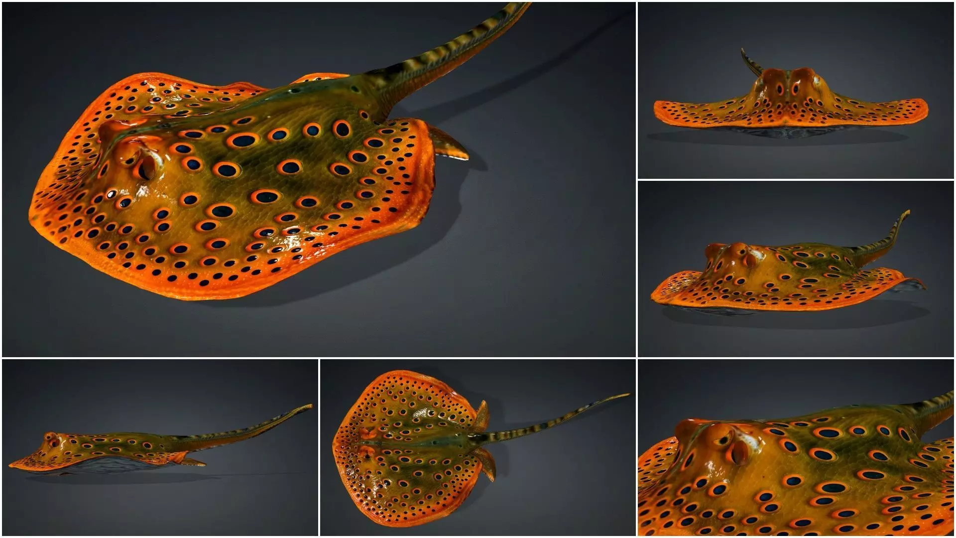 Pack-06 UnderWater 3D model_50