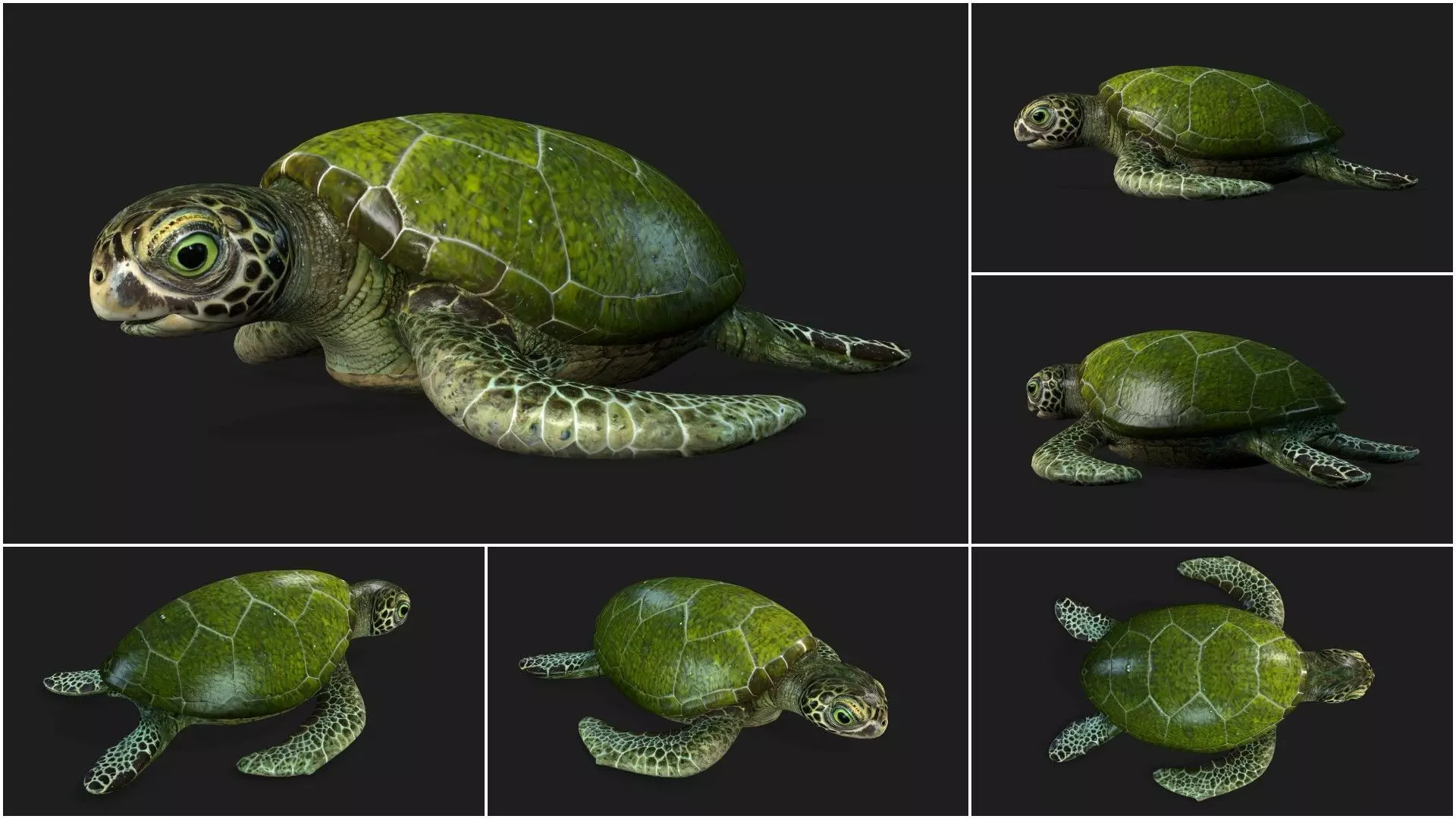 Pack-06 UnderWater 3D model_16