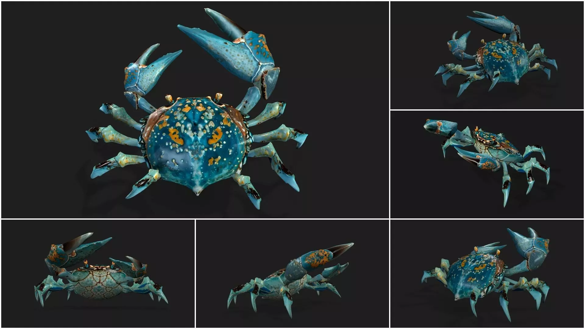 Pack-06 UnderWater 3D model_42