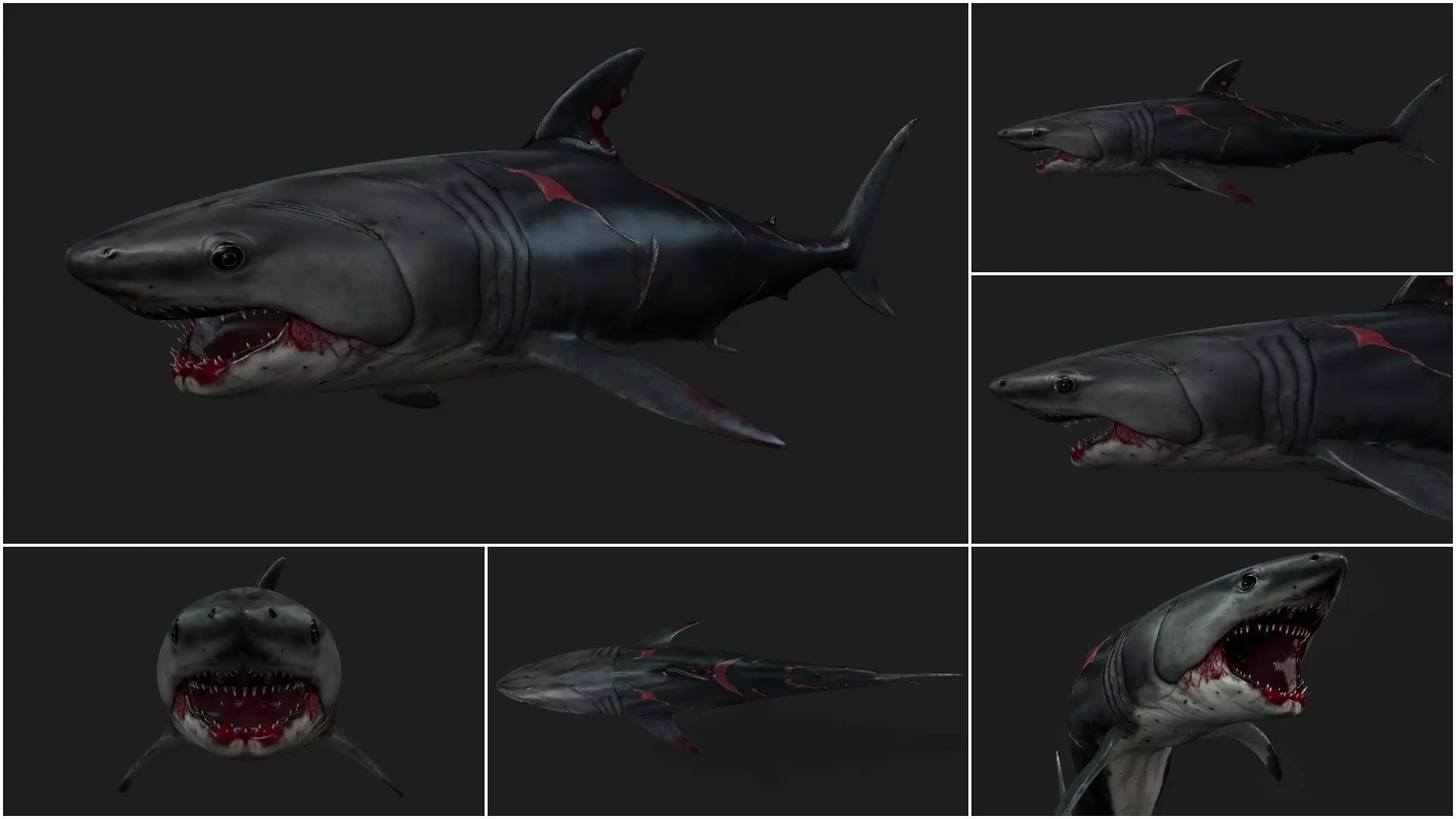 Pack-06 UnderWater 3D model_28