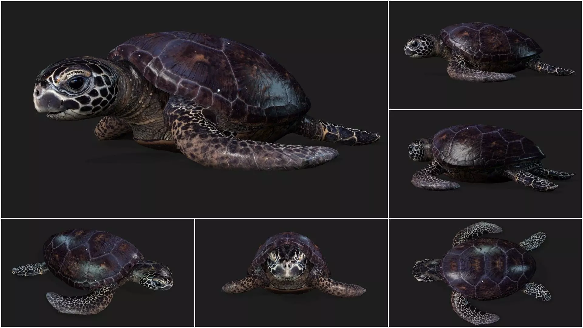 Pack-06 UnderWater 3D model_14