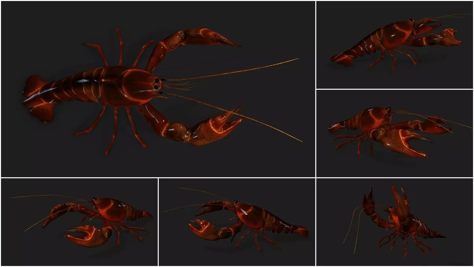 Pack-06 UnderWater 3D model_52