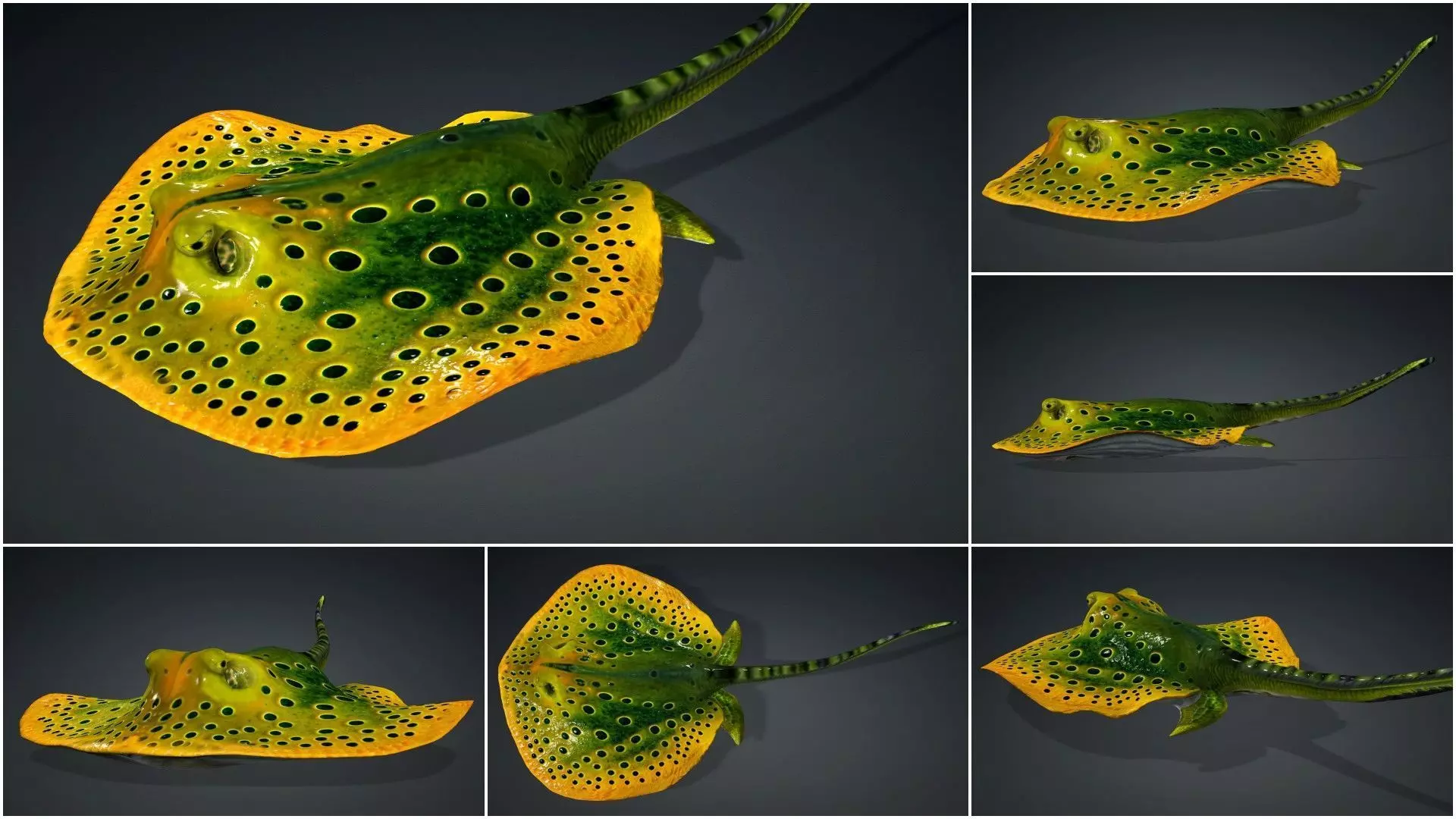 Pack-06 UnderWater 3D model_48