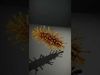 Bacterial Wonderland Collection _28