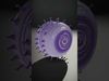 Bacterial Wonderland Collection _32