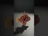 Aquatic Wonders Model Pack 3D Model Collection_2