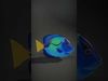 Aquatic Wonders Model Pack 3D Model Collection_4