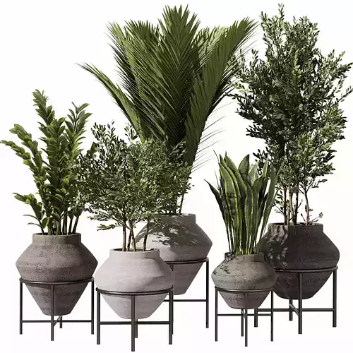 Indoor Plants Set 101