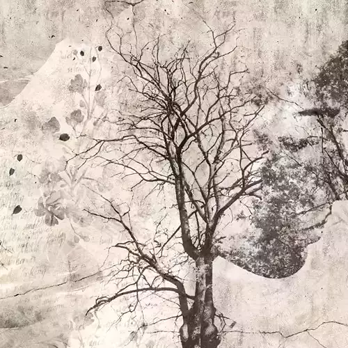 Vintage Botanica Silhouette Wallpaper Texture