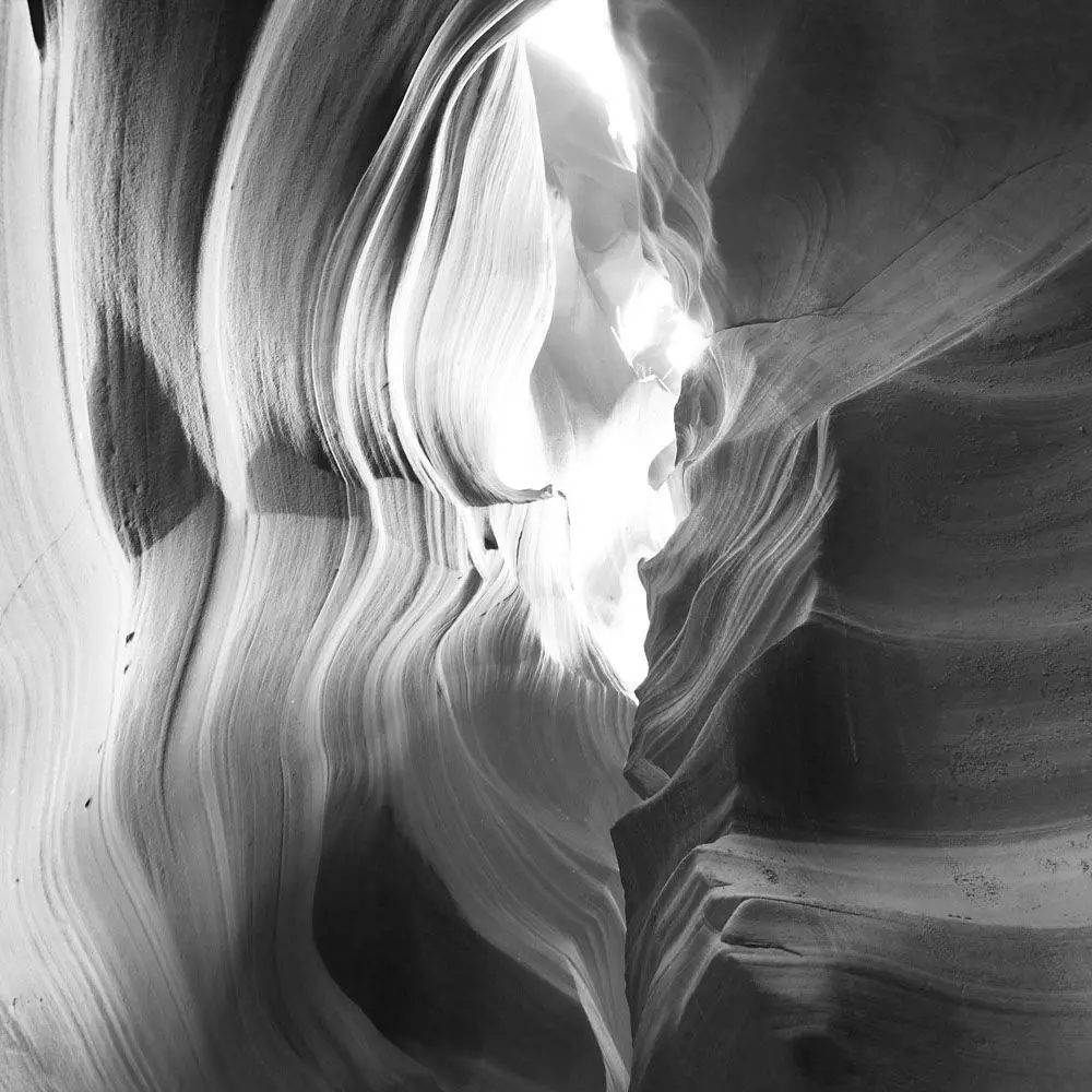 Monochrome Canyon Veins Wallpaper Texture Texture