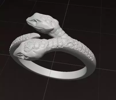 Ring of Serpents Embrace 3D print model_6