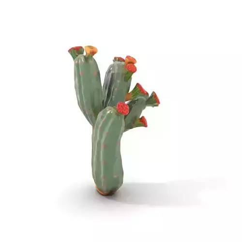 Cactus Blossom model pack Low-poly 3D model