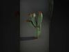 Cactus Paradise Models Pack 3D Model Collection_31