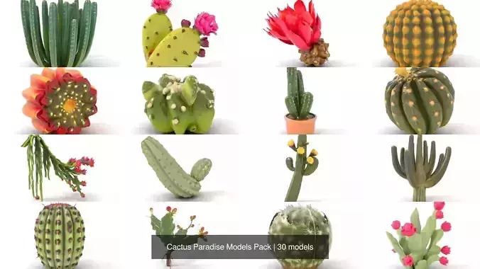 Cactus Paradise Models Pack 3D Model Collection