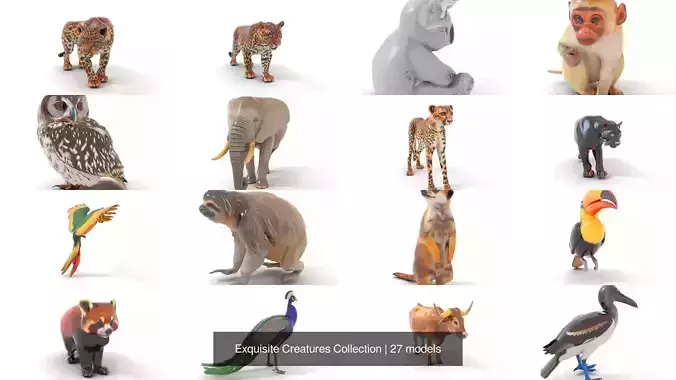 Exquisite Creatures Collection 