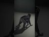 Exquisite Creatures Collection _27