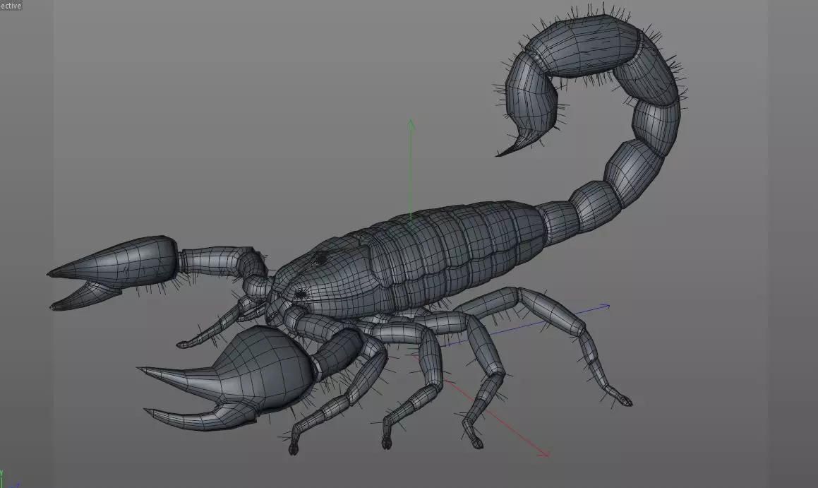 Scorpion insect Low-poly 3D model_8