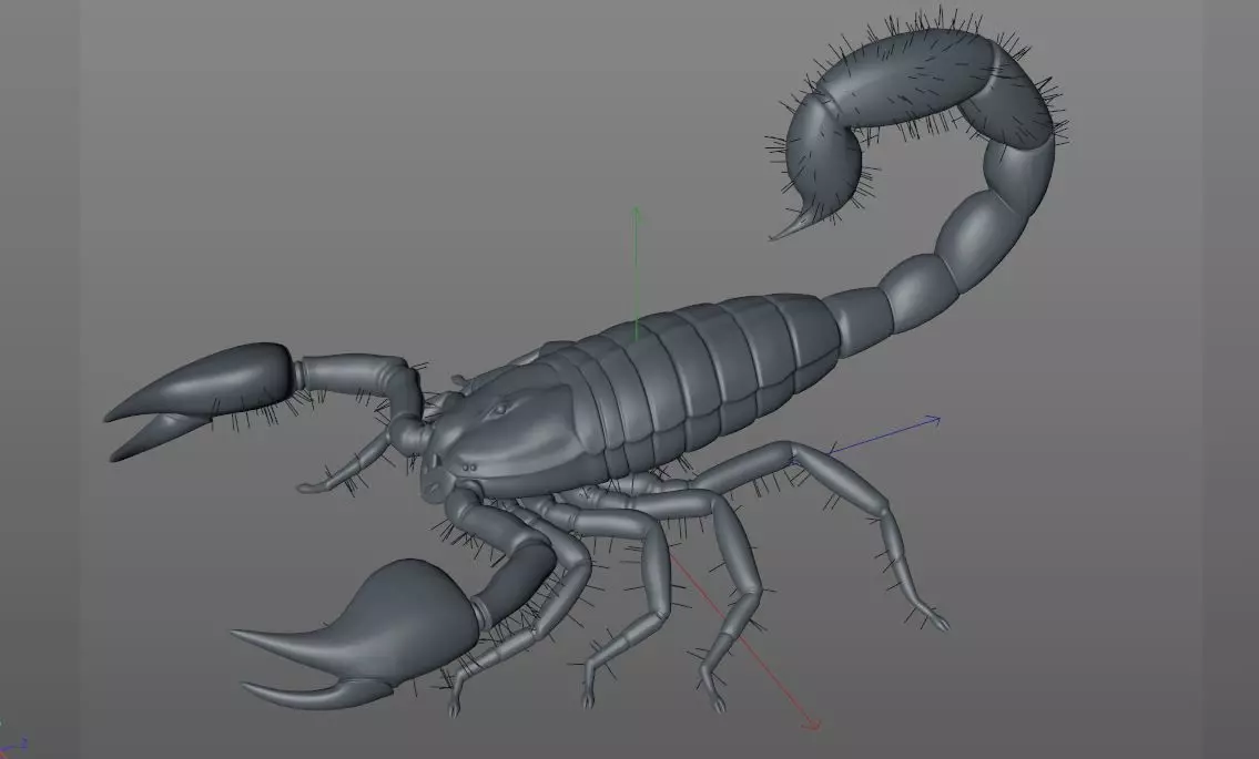 Scorpion insect Low-poly 3D model_10