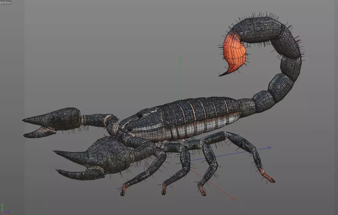 Scorpion insect Low-poly 3D model_11