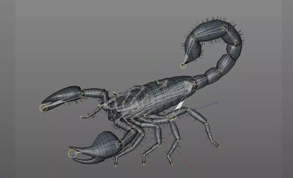 Scorpion insect Low-poly 3D model_9