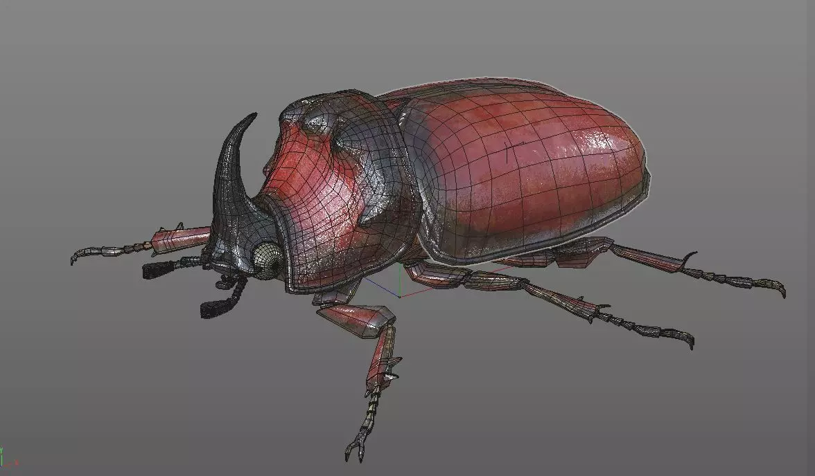 Rhino Beetle insect Low-poly 3D model_10