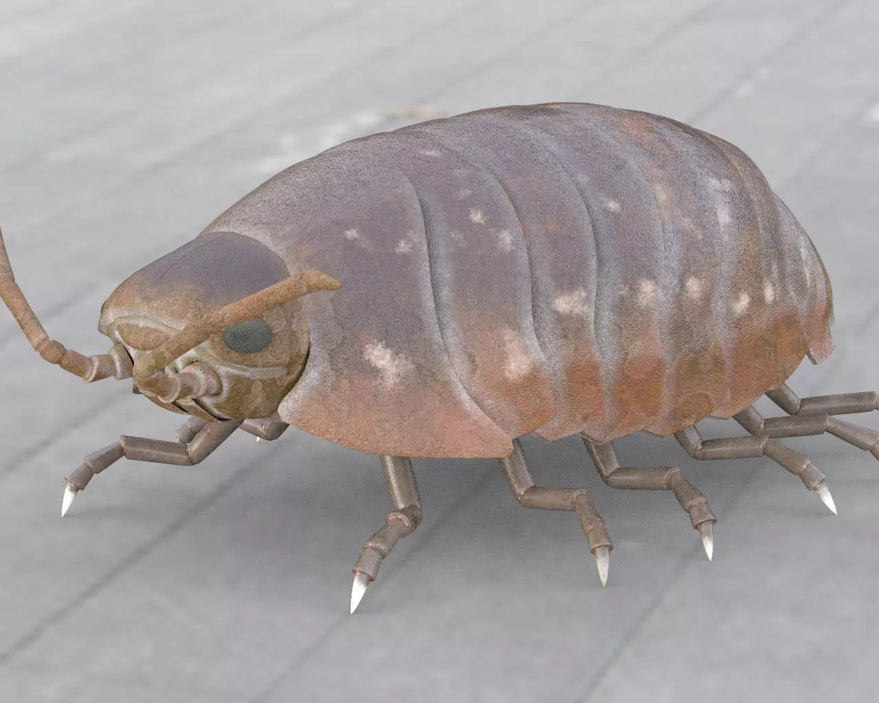 Pill bug insect Low-poly 3D model_1